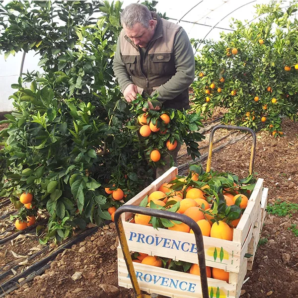 Photo-page-Accueillant---Proposer-nouvelle-etape-600x600